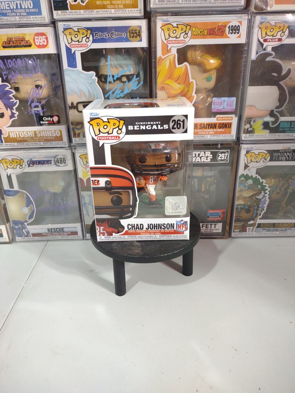 Chad Johnson 261